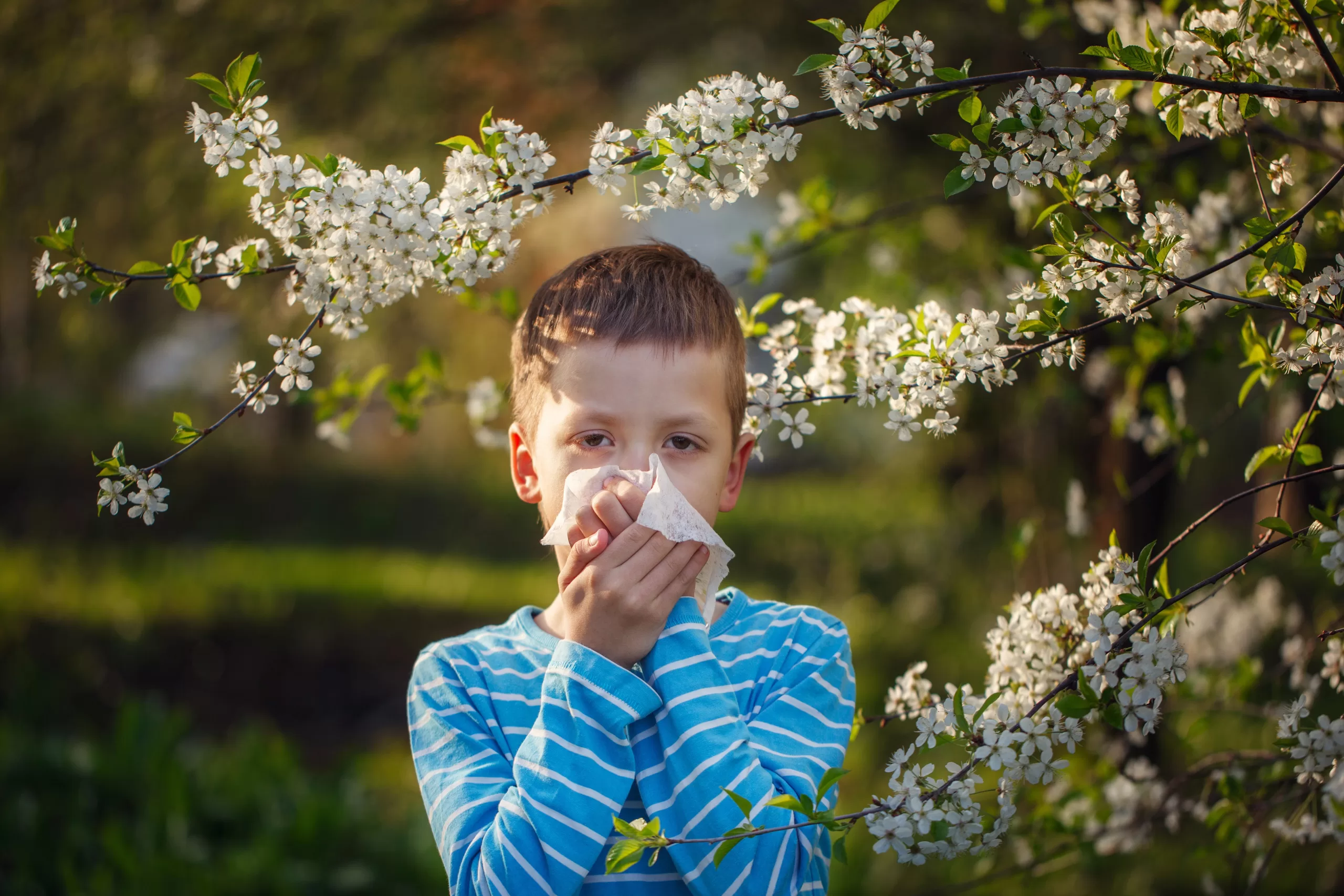 Fall Allergies Kids Frisco